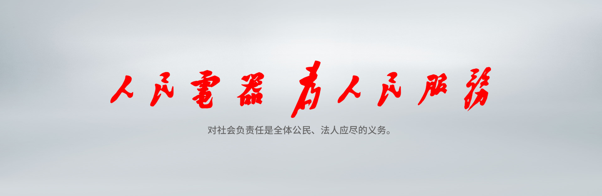 尊龙凯时电器为尊龙凯时效劳